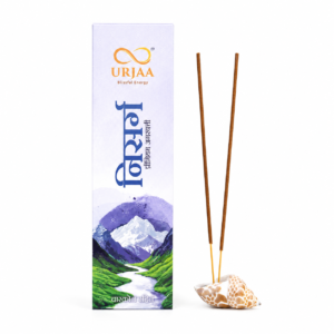Nisarg Premium Incense Sticks | Nature-Inspired Fragrance | No Charcoal Agarbatti | Pack of 30 Sticks