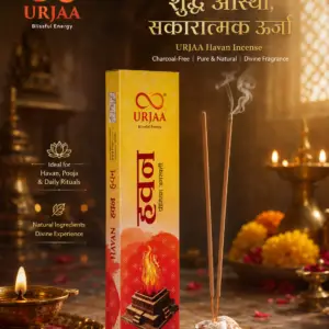HAVAN Premium Incense Sticks | Sacred Fragrance | Long-Lasting Aroma | Pack of 30 Sticks for Daily Use